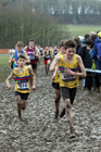 Boys under-13s 2018 British Inter Counties Cross Country Champs., Prestwold Hall, Loughborough. Photo: David T. Hewitson/Sports for All Pics